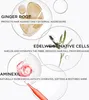Marketing image showing ingredients and their benefits for hair care. Produktbild-Vorschau