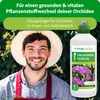 A man wearing a hat and apron smiles at the camera, with a bottle of orchid fertilizer and orchids in the background. Produktbild-Vorschau