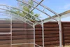 Ultra Starkes Gewächshaus 3x6M mit 6MM "Bruno" polycarbonat Produktbild-Vorschau 5