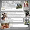 ALTEZAR Buntes Hundehalsband aus Leder Doppel-Tribal Produktbild-Vorschau 7