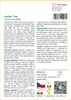 SAFLAX Kultivační sada - Joshua Tree - Yucca brevifolia - Náhled obrázku produktu 3