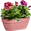 Blumenampel Elho Vibia Kunststoff 35 x 16,2 x 14,8 cm rosa Produktbild-Vorschau 2