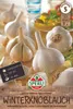 SPERLI Winterpflanzknoblauch Messidrome - weiß Allium Produktbild-Vorschau 3