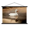 MuchoWow® Textilposter Ente - Vogel - Wasser - Weiß 60x40 Produktbild-Vorschau 1