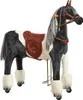 Domino Ponnie XL PRO Productafbeelding-voorbeeld 1