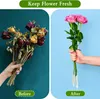 100 Stück Transparente Reagenzgläser für Blumen – Ideale Produktbild-Vorschau 3