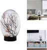 Mini-Aquarium-Ökosystem, geschlossenes Desktop-Ökosystem Produktbild-Vorschau 5