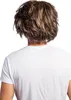 Perruque de chanteur Micky brun chiné musicien pour hommes Voir les images du produit 4
