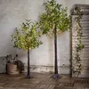 Girandola LED da esterno Olivec 20 LED Olivenzweig mit Anteprima dell’immagine prodotto 11