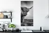 MuchoWow® Poster Kühe - Schottische Hochlandkühe - Natur - Produktbild-Vorschau 3