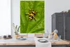 MuchoWow® Poster Gelber und schwarzer Frosch auf einem Produktbild-Vorschau 3