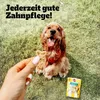A dog is being offered a treat by a hand, with a product package in the background. Produktbild-Vorschau