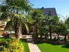 A garden setting with palm trees, a house, and a paved walkway. Produktbild-Vorschau