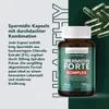 Saint Nutrition® Spermidin Kapseln | Hochdosiert mit 6mg Produktbild-Vorschau 4