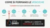 Plantillas que previenen ampollas, malos olores y pie de Vista previa de la imagen del producto 11