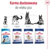 Royal Canin Maxi Adult 5+, Dorosły, Maxi (26 - 44 kg), Podgląd zdjęcia produktu 8