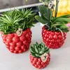 Kolibri Company | Pflanzenset Rote Phalaenopsis-Orchidee Produktbild-Vorschau 3