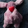 Cozy Dog, knuffel voor honden, konijn, roze Productafbeelding-voorbeeld 4