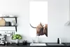 MuchoWow® Poster Schottischer Highlander - Kopf - Weiß Produktbild-Vorschau 3