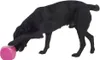 Hundespielzeug BUSTER Futterwürfel Kirsche 12cm, L Produktbild-Vorschau 4