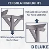 DELUKE® Pergola aus Holz LURV Grau | 4x2m Kiefernholz | Produktbild-Vorschau 3