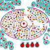 Emozionante gioco con campana - Giocattolo Roter Kafer Anteprima dell’immagine prodotto 4