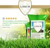 Zauberrasen 1 kg - Rasensamen schnellkeimend Produktbild-Vorschau 2
