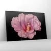 Bild auf Leinwand - Leinwandbild - 3 Teile - Hibiskus Blume Produktbild-Vorschau 4