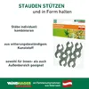 Windhager Rankhilfen-Verbinder, 360° drehbar, Produktbild-Vorschau 5