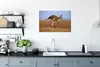 MuchoWow® Poster Känguru - Landschaft - Mantel - Braun Produktbild-Vorschau 4