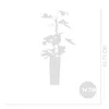A silhouette of a potted plant with size indicators. Produktbild-Vorschau