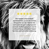 MuchoWow® - Leinwandbilder - Schottischer Highlander - Produktbild-Vorschau 8