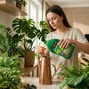 Biohumus-Dünger für Blumen und Grünpflanzen 1l Produktbild-Vorschau 11