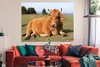 MuchoWow® Poster Kuh - Braun - Horn 160x120 cm - Foto Produktbild-Vorschau 3
