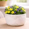 AltoBelli Blumentopf ADELINA Schale Zement Antik Grau Produktbild-Vorschau 3