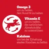Pedigree Leckerbissen Junior – Kleine Hundesnacks für Produktbild-Vorschau 6