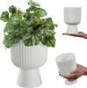 A white plant pot with a plant in it, and two other shots of the pot being held. Podgląd zdjęcia produktu