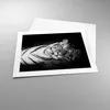 Poster - Poster ohne Rahmen - Weiß Tiger Schwarz und Weiß - Produktbild-Vorschau 3