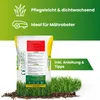 Greenyp® Super Rasen I sattgrüner Premium Zierrasen I 0,8kg Produktbild-Vorschau 2