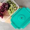 A vacuum food container with red and green grapes inside, next to its teal lid. Produktbild-Vorschau