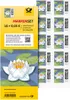 "Deutsche Post 0,05 € Briefmarken ""Seebriefrose"" Anteprima dell’immagine prodotto 1