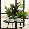 elho® Vibes Übertopf Fold Seidenweiß Ø 18 cm - Kunststoff Produktbild-Vorschau 4