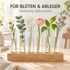 Reagenzgläser groß — Der umgelegte Rand versteift die Öffnung, Ø 4 cm Produktbild-Vorschau
