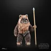 A Star Wars Black Series Wicket toy figure is shown standing against a black background, holding a spear. Anteprima dell’immagine prodotto