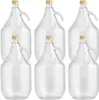 lilawelt24 6 x 5L Glasballon (Gallone) mit Produktbild-Vorschau 1