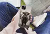 MuchoWow® Handyhülle Schutzhülle Hülle für iPhone 13 mini Produktbild-Vorschau 3