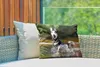 MuchoWow® Outdoor Kissen - Husky im Wasser - 50x30 cm - Produktbild-Vorschau 3