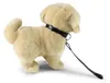 Peluche Golden Retriever Con Guinzaglio 25 Cm Eco-f. Anteprima dell’immagine prodotto 3
