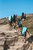 COASTO CRUISER 13.1 SUP Board Stand Up Paddle Surf-Board Produktbild-Vorschau 18