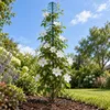 Support pour plantes KADAX 54–158 cm, tige d'escalade Voir les images du produit 8